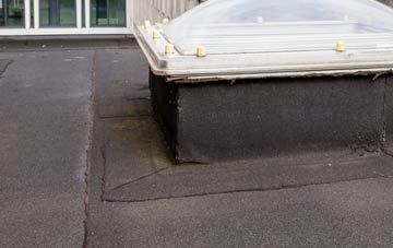 disadvantages of Theobalds Green flat roofs