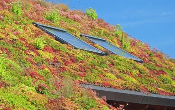 Theobalds Green living roof systems