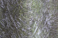 Theobalds Green fibreglass roof work