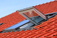 Theobalds Green roof window