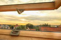 rated Theobalds Green roof window companies